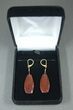 Dark Red Agatized Dinosaur Bone (Gembone) Earrings #54079-3